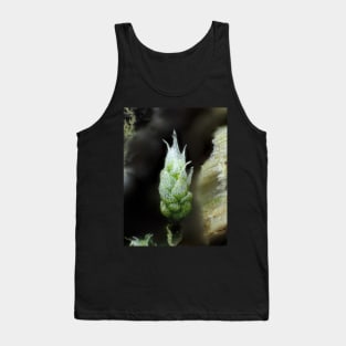 Moss under the microscope Tank Top